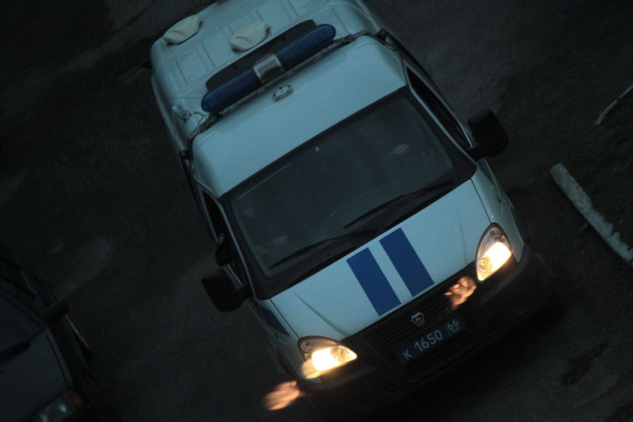 Серовчанина будут судить за жестокое обращение с животным. Он убил щенка, ударив о землю и дерево