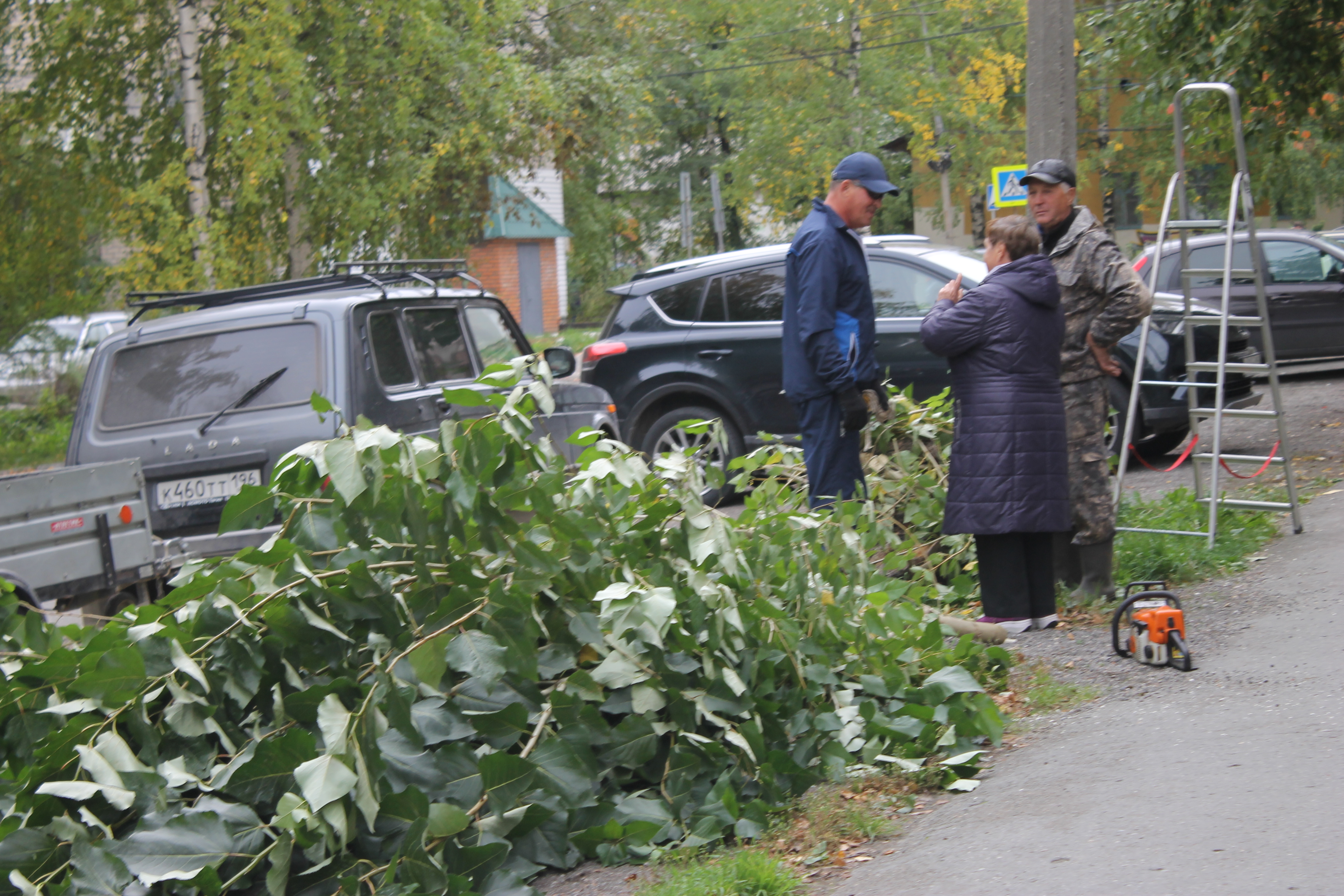 Депутат Думы Серова взялся пилить тополя на улице Каляева