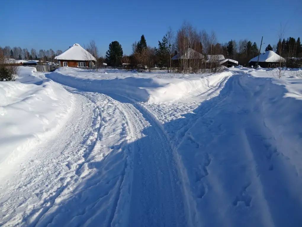 “Нам дрова жизненно необходимы”. В Андриановичах из-за нерасчищенных дорог боятся остаться без тепла