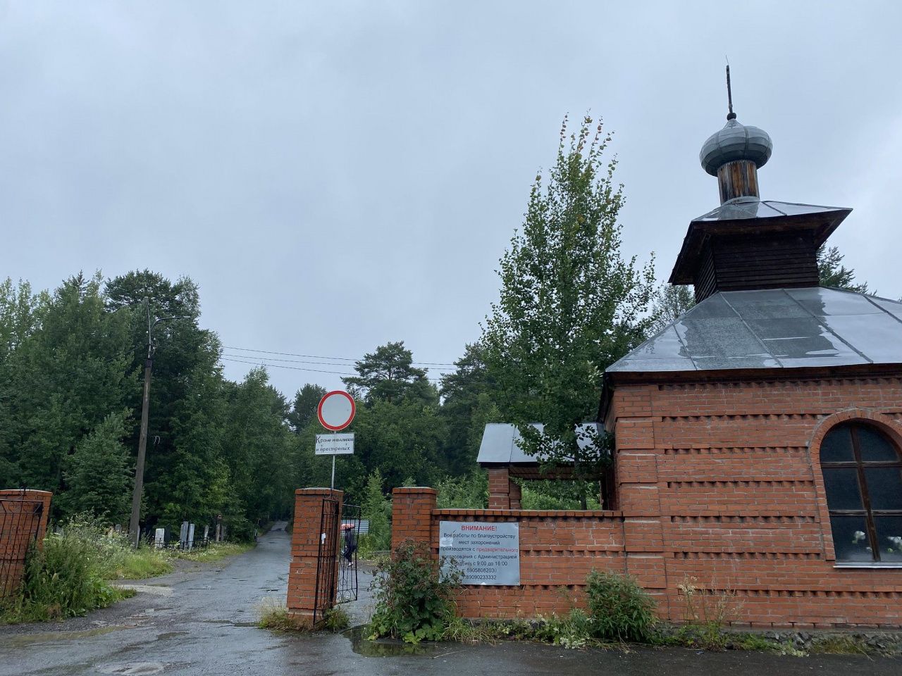 “Ходит как у себя дома”. Серовчане дважды видели медведя на городском кладбище