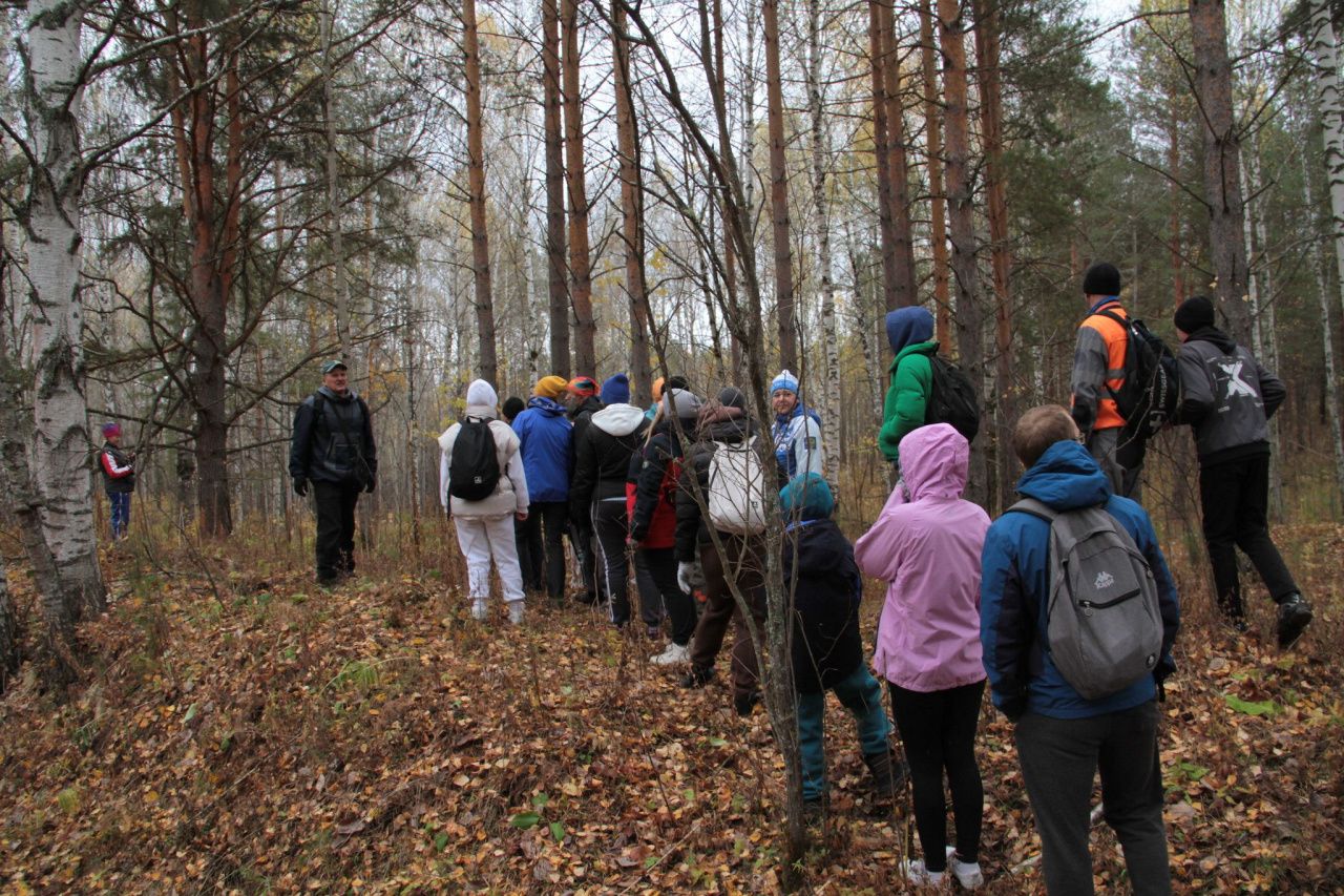 Всероссийский день ходьбы в Серове отметят прогулкой по Крутому логу