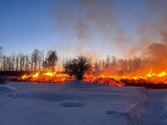 Последствия пожаров на свалках горбыля в Серове: приостановка деятельности юрлица и адмрасследование