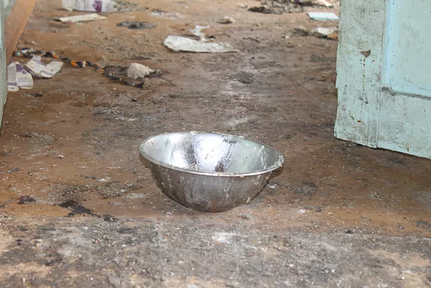 Полиция Серова проверяет, откуда в частном доме взялось больше десятка щенячьих трупов