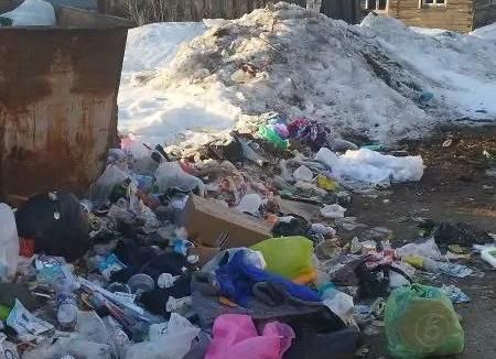 Из-за свалки мусора на контейнерной площадке серовчанка обратилась в мэрию и областную прокуратуру