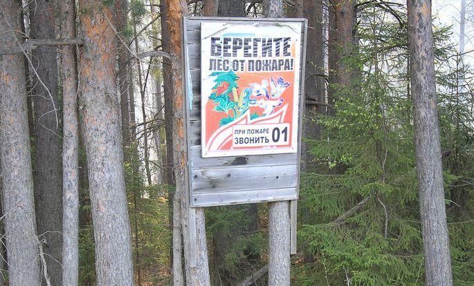 В Серове тракториста наградят за героизм, проявленный при тушении лесных пожаров