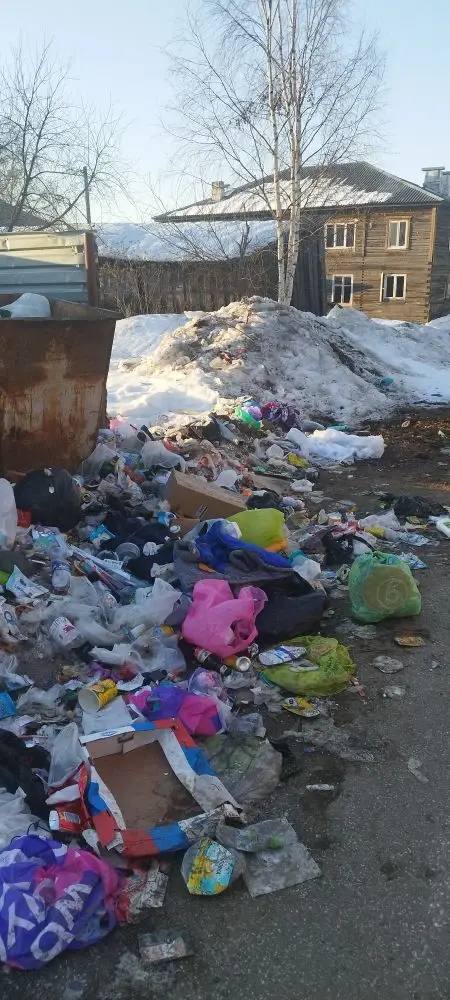 Из-за свалки мусора на контейнерной площадке серовчанка обратилась в мэрию и областную прокуратуру