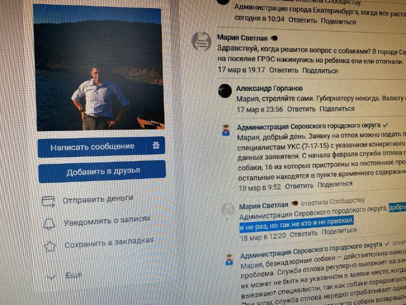 "Накинулись на ребенка"... Серовчане в "ВКонтакте" пожаловались губернатору на собачью агрессию