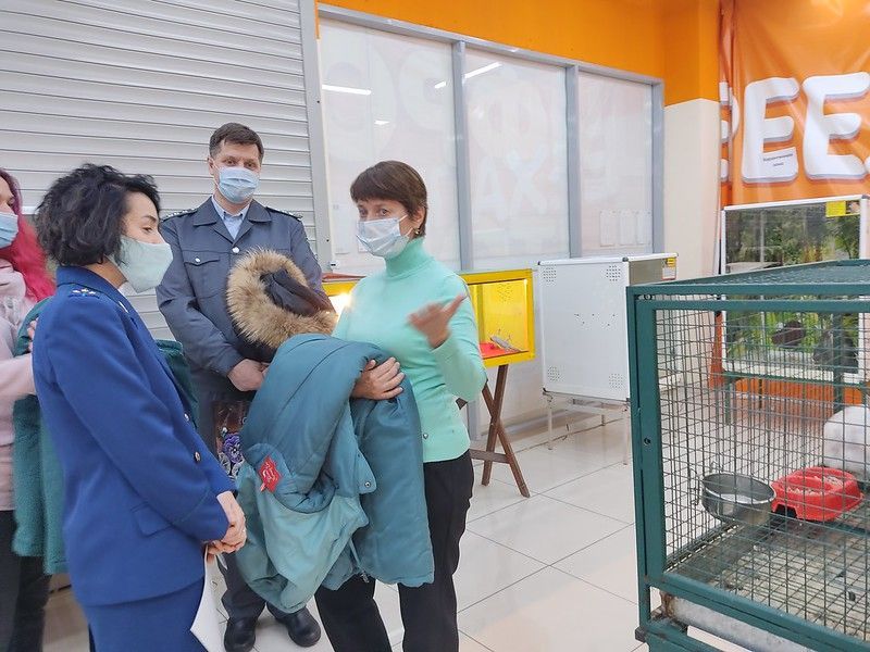 В Серове судили ООО "Животный мир" - организатора выставки животных в торговом центре
