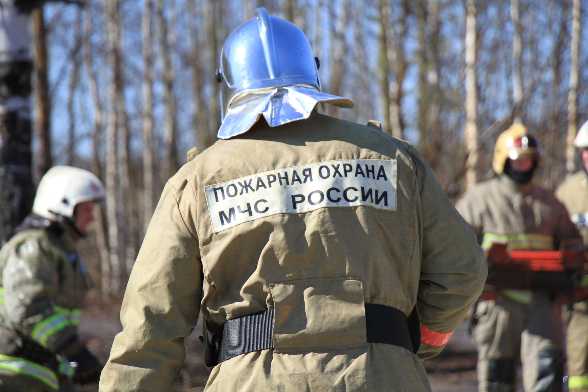 Александр Борисевич Новый Год Минус Александр Борисевич Новый Год Минус