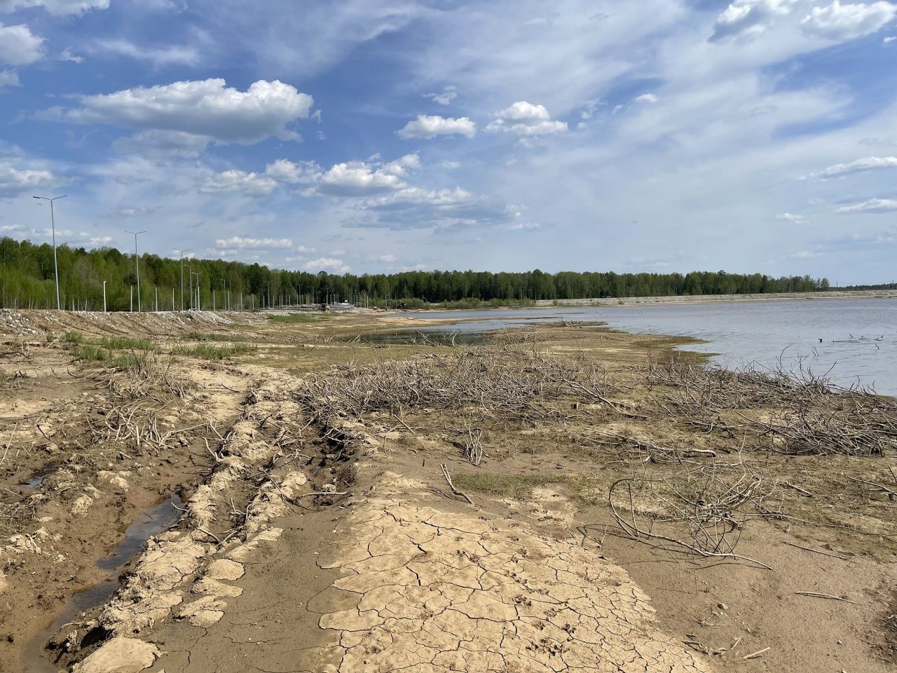 Минприроды рассмотрело обращение по поводу гибели икры на водохранилище в Серове
