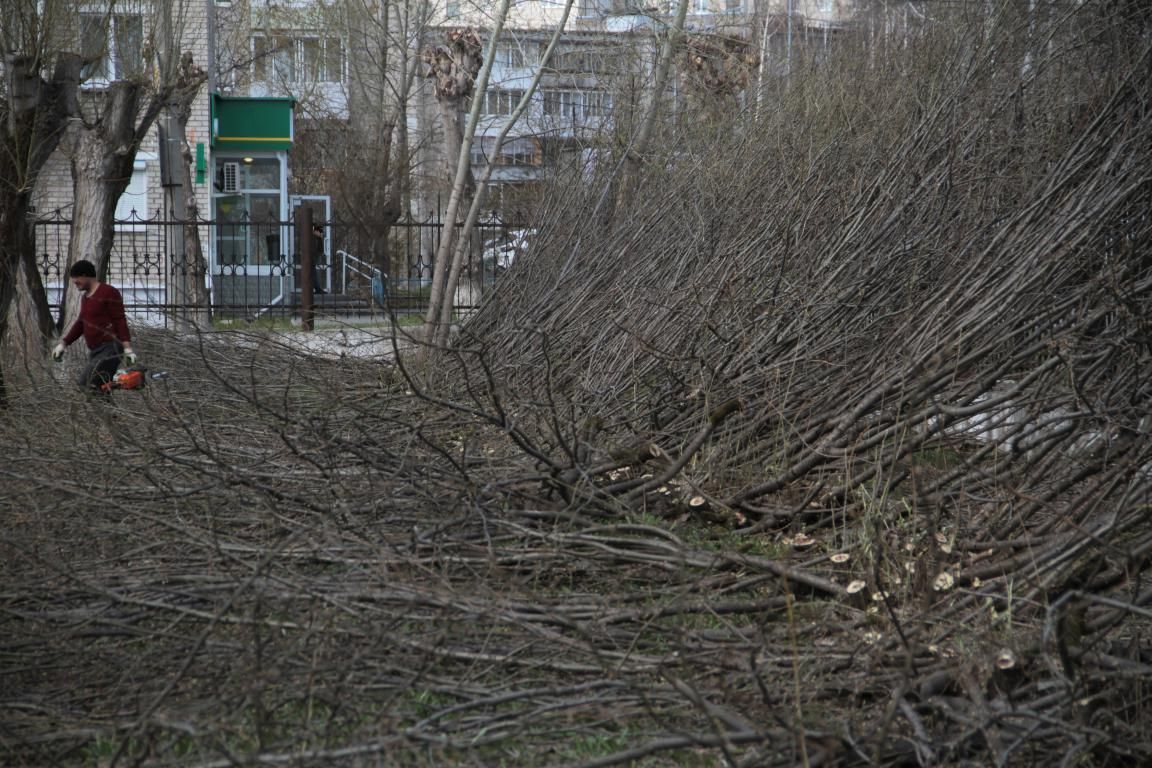 Бюджет Серова сэкономил 6 миллионов на реконструкции сквера ДКМ. Началась реконструкция
