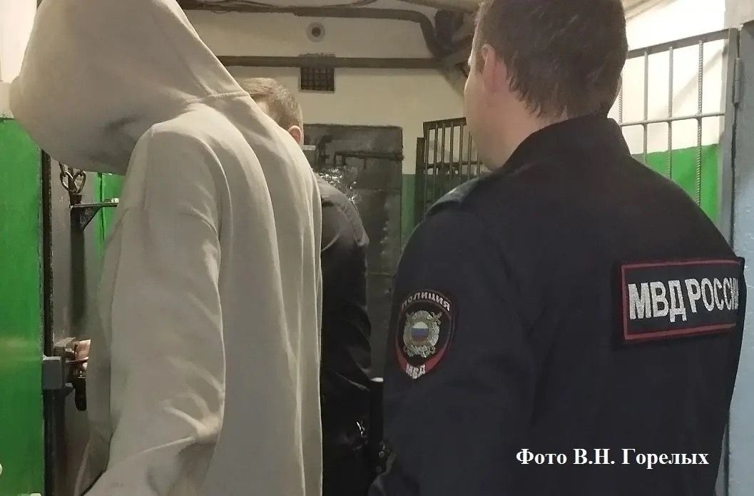 Погоня, стрельба по колесам, арест и подозрение в зверском избиении женщины. Криминальная история произошла в Серове