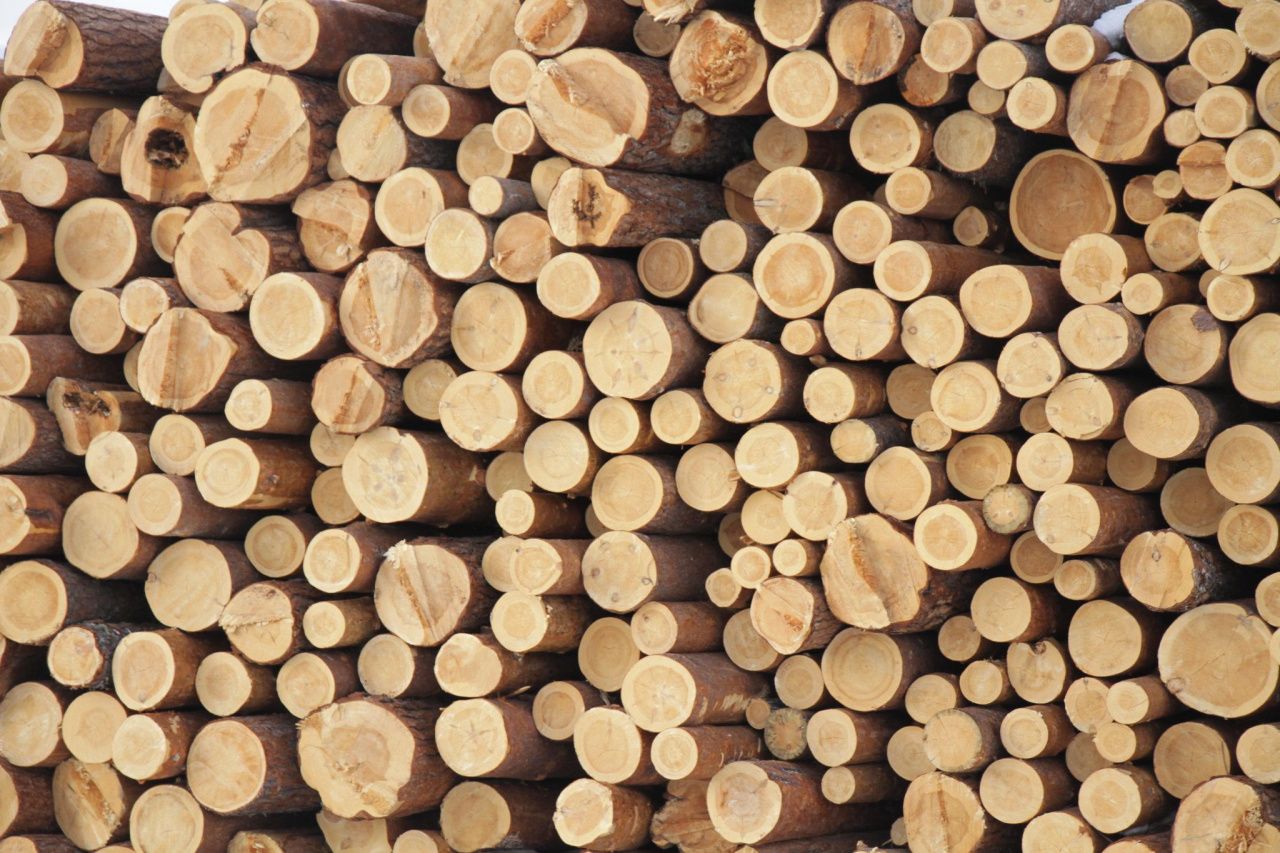 Транспортная прокуратура выявила нарушения при перевозке древесины из Карпинска в Серов