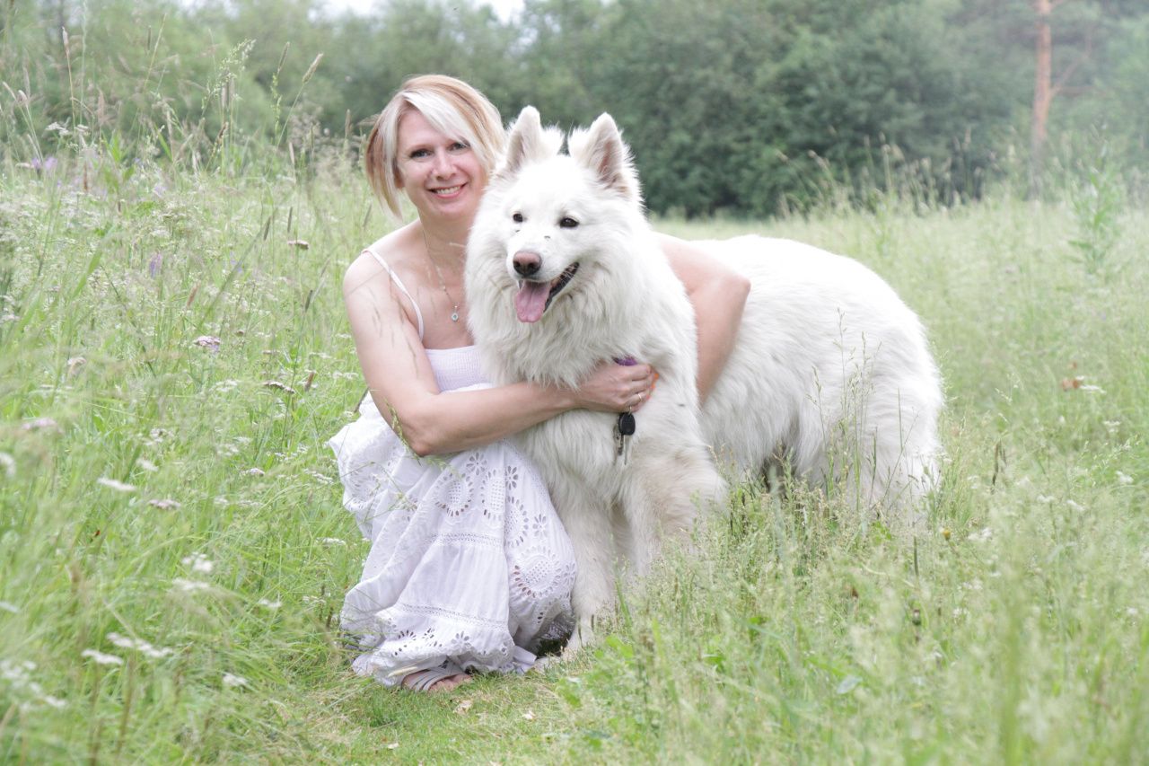 “Белый волк” - сплав доброты, интеллекта и красоты. Серовчанка рассказывает о белой швейцарской овчарке. Их всего две в городе