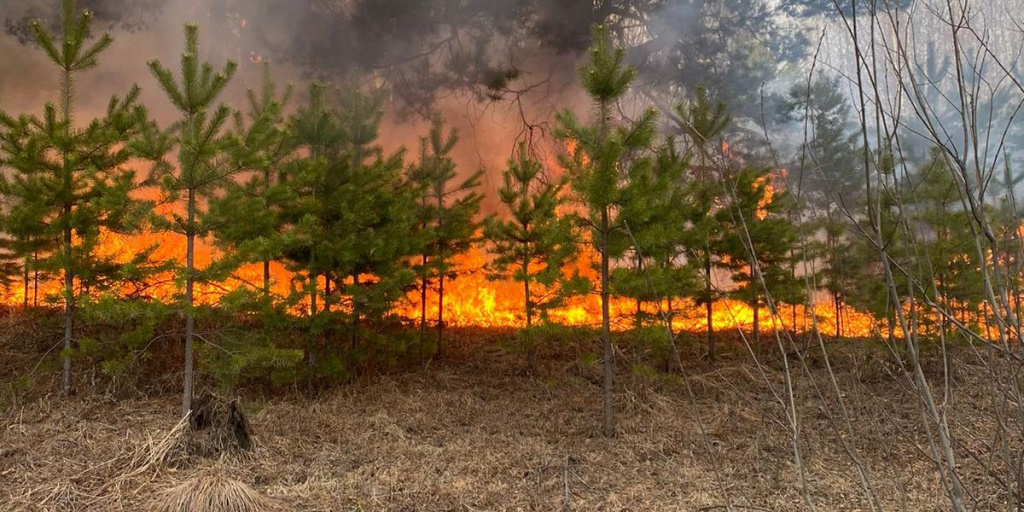 Противопожарный режим нижегородская область