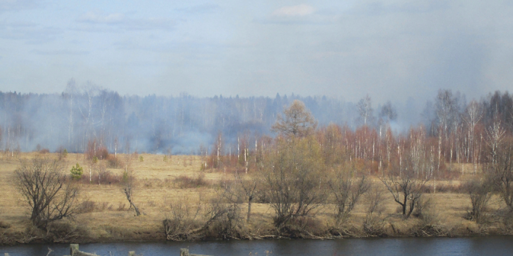 Село Андриановичи. Андриановичи Свердловская область. Село Андриановичи Свердловская область. Краснеет лес темнеют степи.