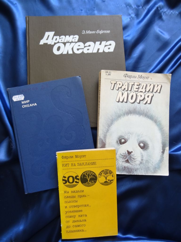 Фото: Марина Демчук