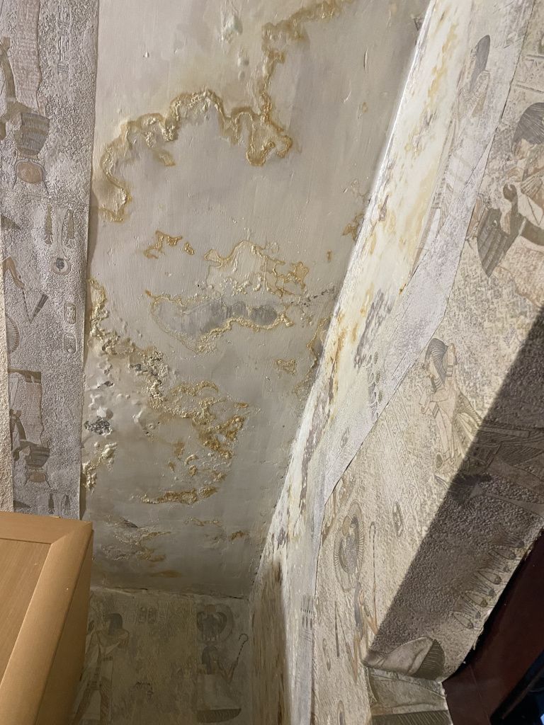 В коридоре квартиры Татьяны Карнауховой распространяется грибок. Фото: Анна Куприянова, "Глобус"