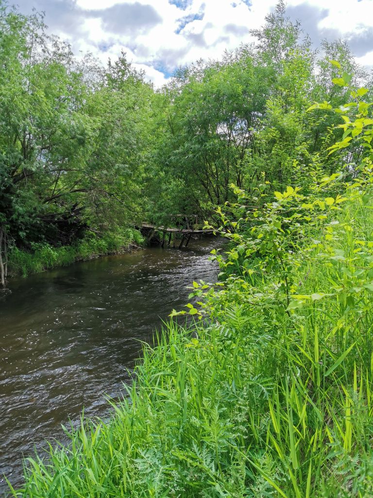 Михаил Иванович вспоминает, что когда-то в обводном канале водилась рыба, на берегу водились андатры. Сейчас их нет. Фото: Константин Бобылев, архив "Глобуса"