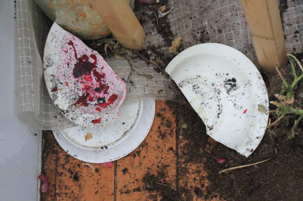 Разбили тарелку с винегретом. Фото: Константин Бобылев, "Глобус"