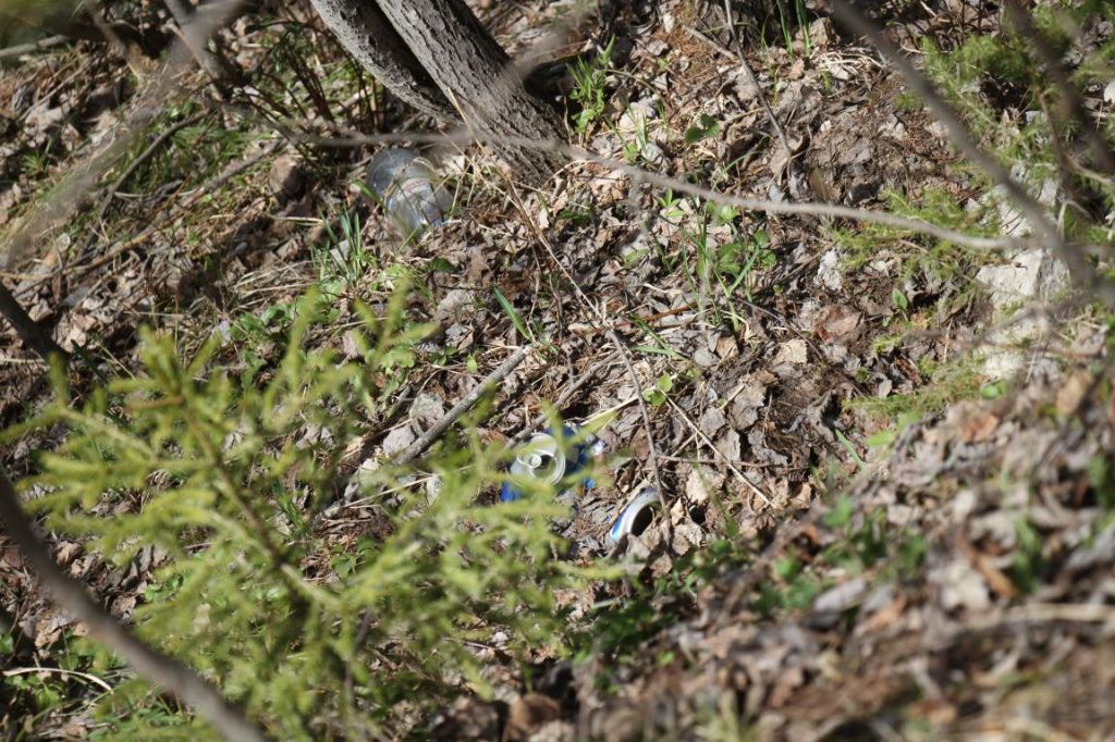 Обочина усыпана мусором, выброшенным из окон автомобилей. Фото: Константин Бобылев, "Глобус"