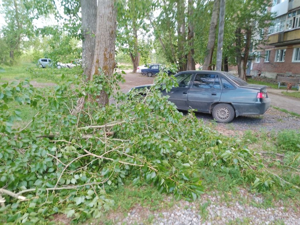 Фото: Николай Замиралов