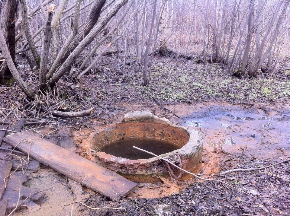 Местные жители считают, что канализационные воды идут из этого колодца. Фото: Алексей Пасынков, "Глобус"