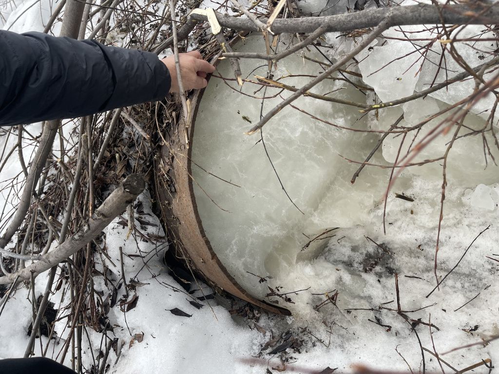 По мнению садоводов, стоит убрать лед в этой трубе и вода сойдет с участков. Фото: Анна Куприянова, "Глобус"