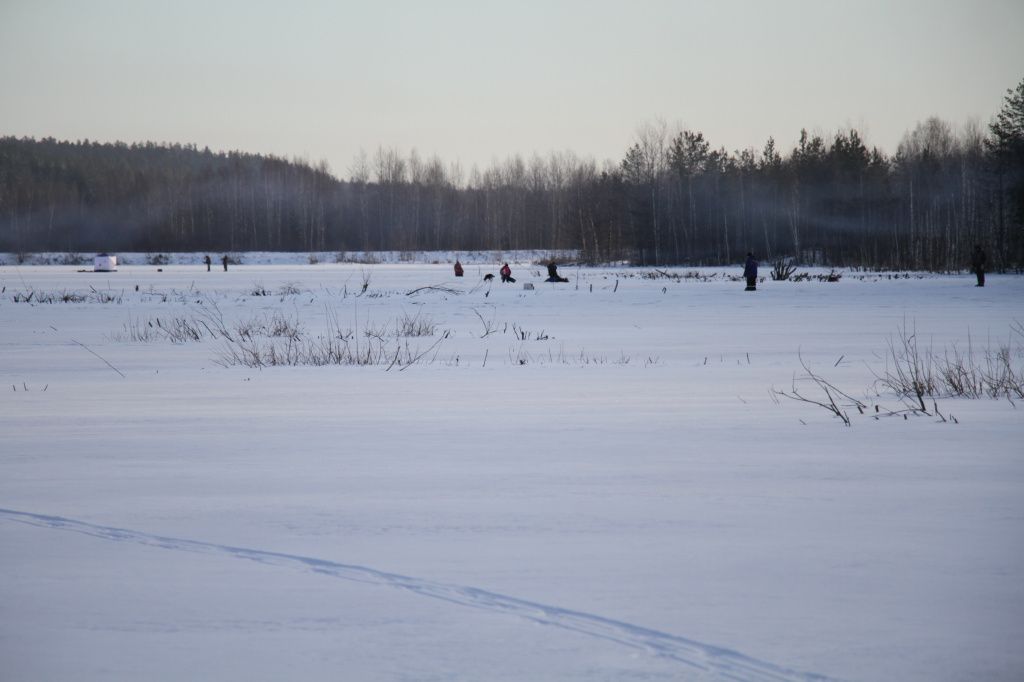 По словам Ирины Романовой, рыбаки массово едут на Замарайку зимой. Фото: Константин Бобылев, "Глобуса"