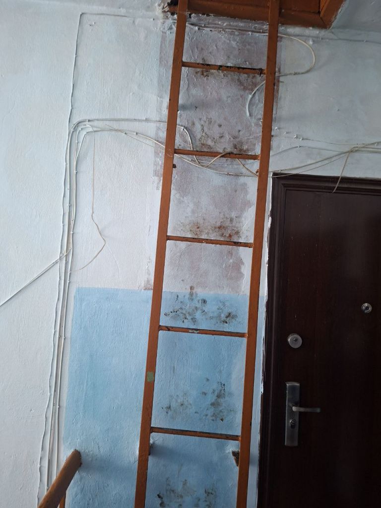 Из-за аварии намокла стена у квартиры №5. Фото: Галина Конева Из-за аварии намокла стена у квартиры №5. Фото: Галина Конева