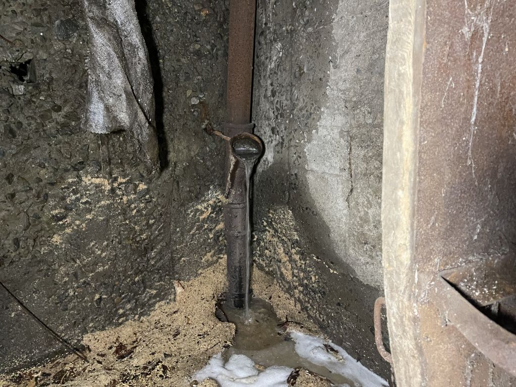 Из трубы на пол подвала льется канализация. Фото: Анна Куприянова, "Глобус"