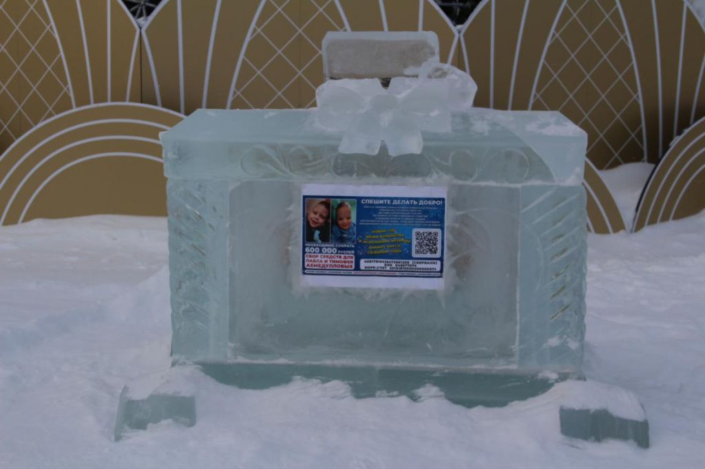 Средства собирались для лечения братьев-близнецов Ахмедулловых. Фото: Анна Куприянова, "Глобус"