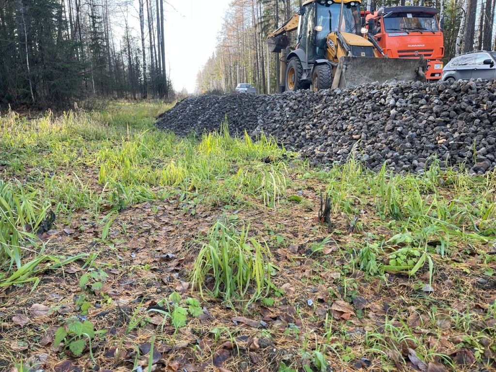 По мнению садоводов, труба лежит выше уровня болота. Фото: Анна Куприянова, "Глобус"