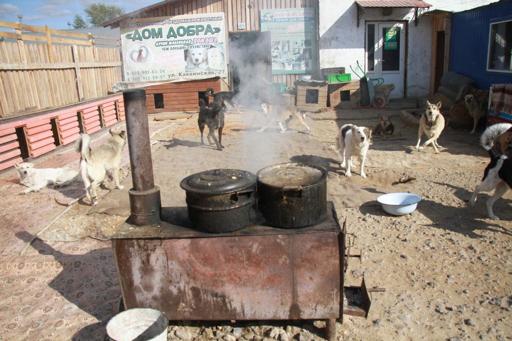 Во дворе приюта стоит печка буржуйка на которой Инна Обухова варит еду для питомцев. Фото: Константин Бобылев, "Глобус"