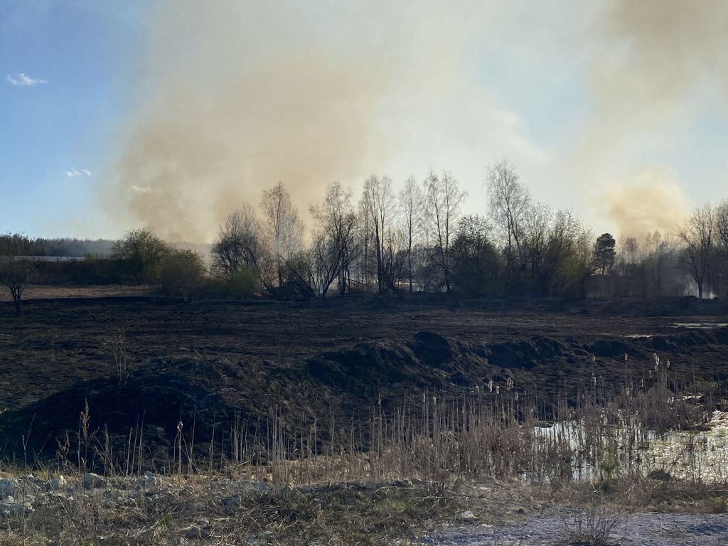 В районе свинокомплекса горела сухая трава. Фото: Анна Куприянова, "Глобус"