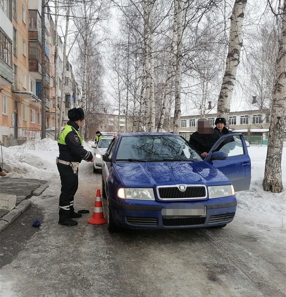 За рулем иномарки был водитель с 13-летнем стажем. Фото: Госавтоинспекция Серова