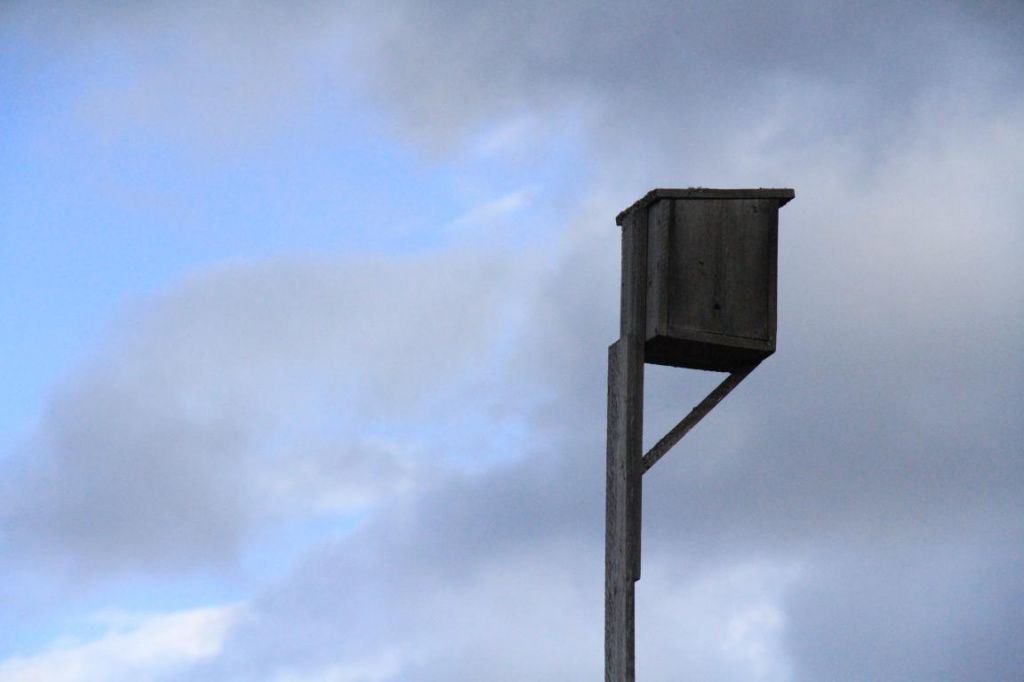 Домов, пригодных для жизни людей, в Надымовке практически не осталось. Но дом для птиц до сих пор стоит на высокой жерди. Фото: Константин Бобылев, "Глобус"