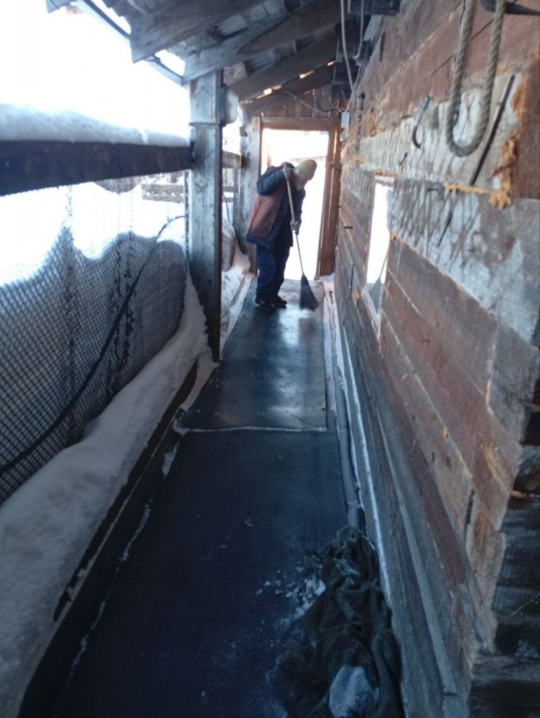 Павлу Золотухину дали посильную работу, которую он отказался выполнять. Фото предоставил Александр Козлов