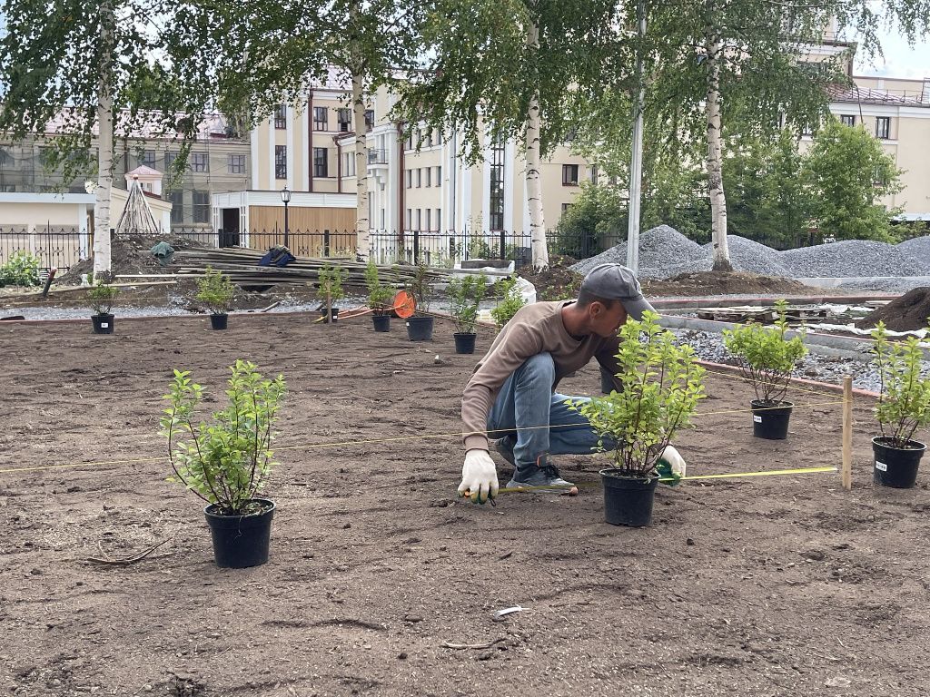 Рабочие готовят к посадке растения. Фото: Анна Куприянова, "Глобус"