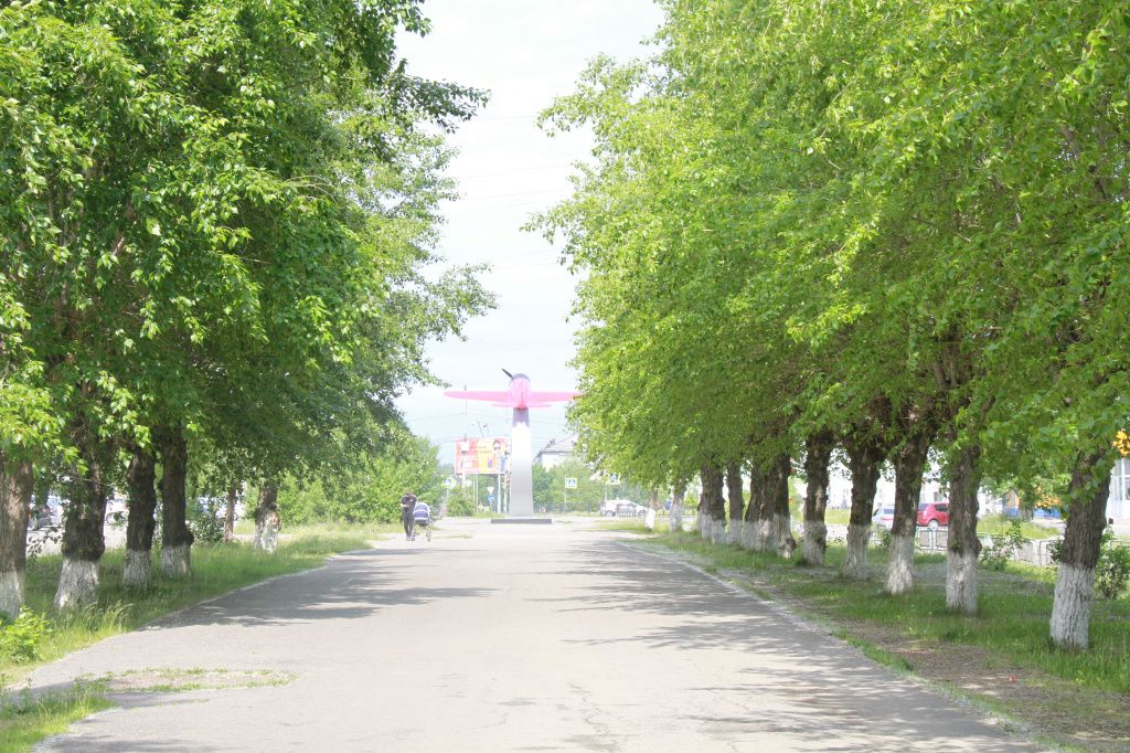 Реконструкция улицы Заславского на которой и находится тополина аллея должна быть реконструирована к концу 2022 года. Фото: Константин Бобылев, "Глобус"