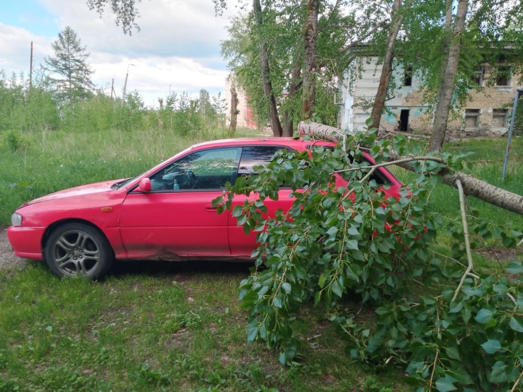 Фото: Николай Замиралов