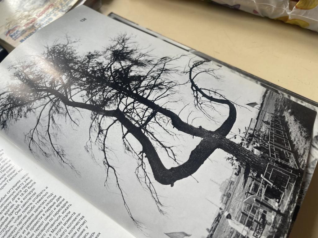 Памятная сосна. Фото: Анна Куприянова, "Глобус"