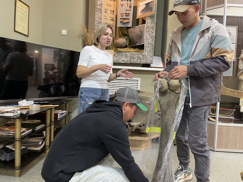 Кость передали в Серовский исторический музей. Фото: Анна Куприянова, "Глобус"