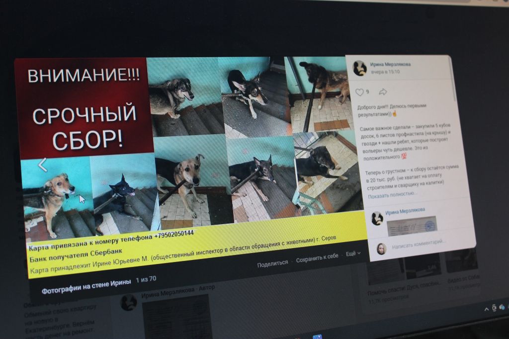 На своей странице в социальной сети "ВКонтакте" Ирина Мерзлякова рассказывает о всех этапах работ по строительству вольеров для собак. Фото: Мария Чекарова, "Глобус" На своей странице в социальной сети "ВКонтакте" Ирина Мерзлякова рассказывает о всех этапах работ по строительству вольеров для собак. Фото: Мария Чекарова, "Глобус"