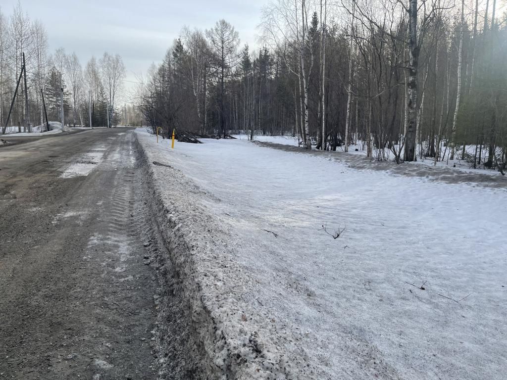 Труба находимся в 200 метрах от болота. У трубы лежит снег. Фото: Анна Куприянова, "Глобус"
