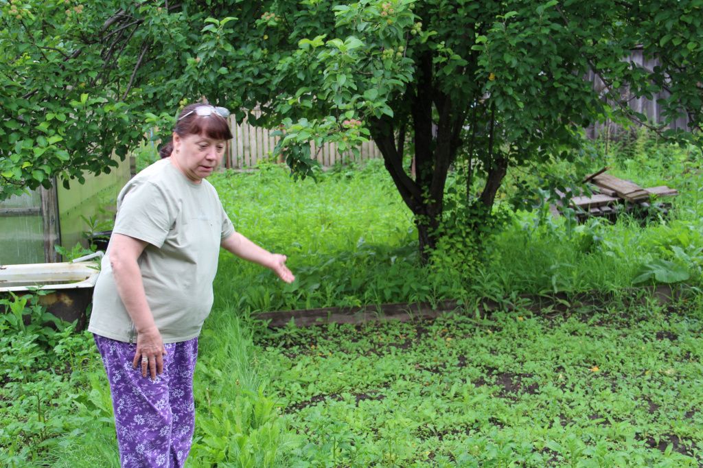 В этом году женщина боится остаться без урожая картофеля. Фото: Анна Куприянова, "Глобус"