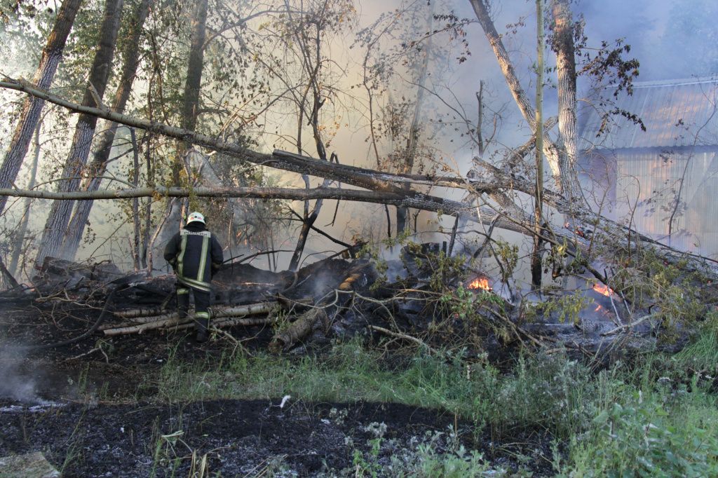 На месте пожара были поваленные деревья. Фото: Константин Бобылев, "Глобус"