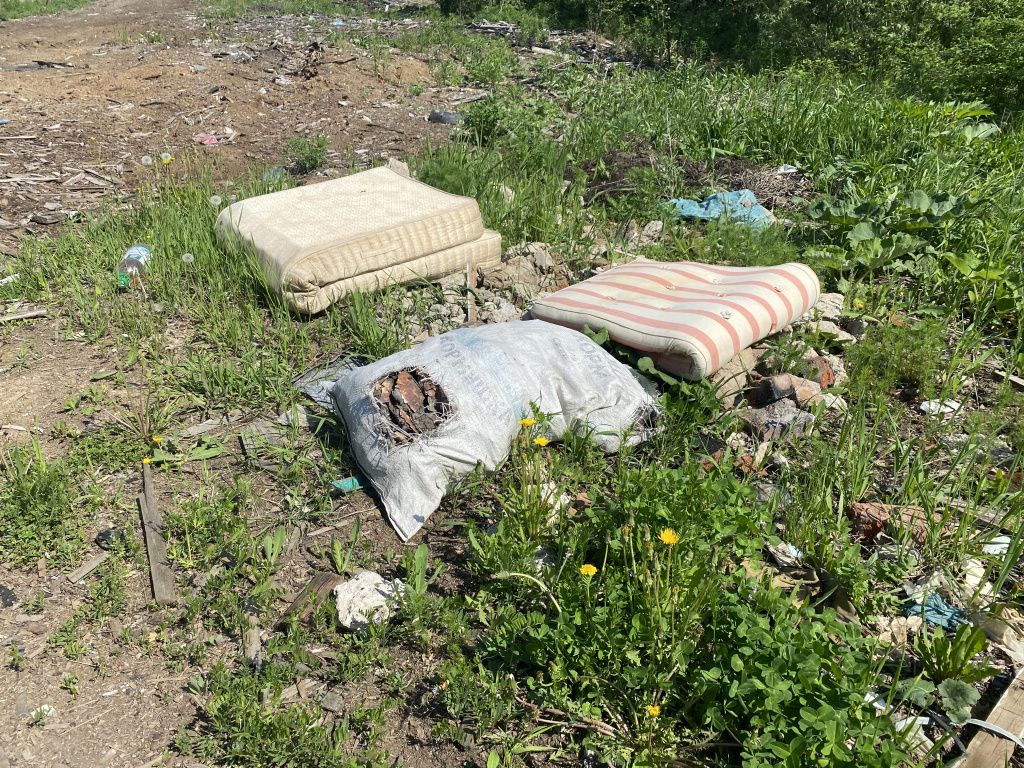 Неизвестные выкидывают хлам на несанкционированную свалку возле Чкаловского моста. Фото: Анна Куприянова, "Глобус"