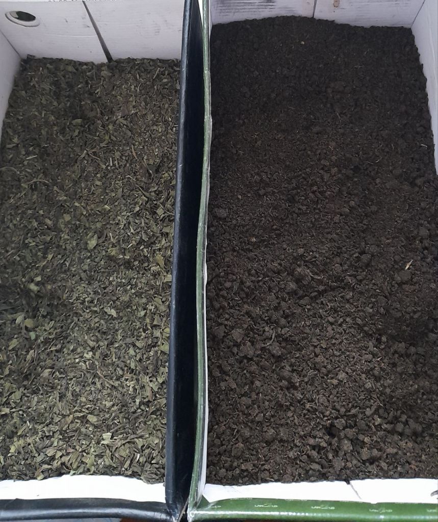Справа – максимально ферментированные листья иван-чая («чаинки» черного цвета). А слева – средне-слабой ферментации (для любителей пить более зеленый травяной чай). Фото: Андрей Гребенкин, «Глобус»