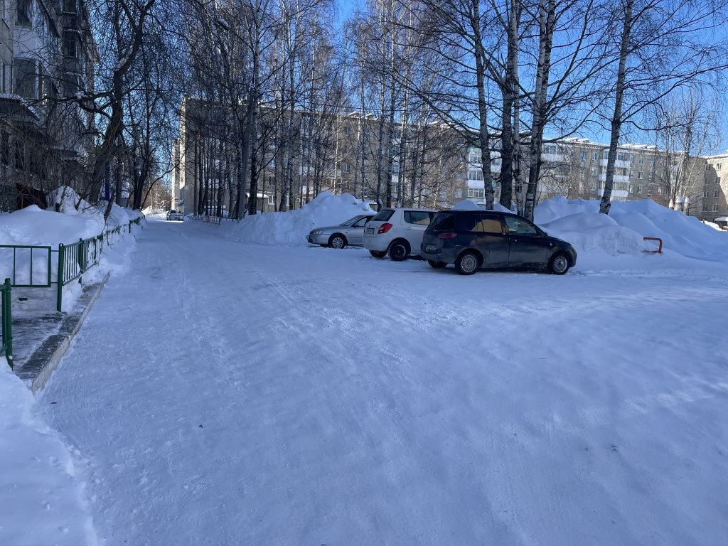 Александр Бессонов рассказал, что в случае необходимости автомобилисты сами чистят снег на парковках. Фото: Анна Куприянова, "Глобус" Александр Бессонов рассказал, что в случае необходимости автомобилисты сами чистят снег на парковках. Фото: Анна Куприянова, "Глобус"
